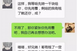 平湖专业讨债公司有哪些核心服务？